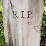 Heath Chapman - @heathchapman321 - Instagram