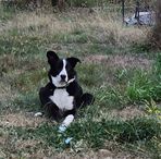 Sara Heath-Cochran - Facebook