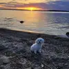 Heather Colon - @heather.colon0 - TikTok