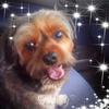heatherdoherty333 - @heatherdoherty333 - TikTok