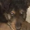 Heath Fowler - @heath.fowler4 - TikTok
