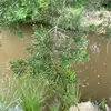 heathgriffith3 - @ohshootdude - TikTok