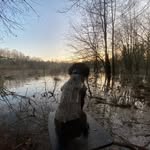 Heath Holder - @heatersretrievers - Instagram