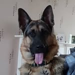 heath howell - @heathhowel - Instagram