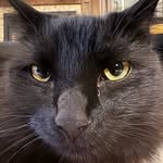 Heath Johnston - @heathjohnston2011 - Instagram