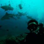 Lawrence Heath - @lawrence.heath.10 - Instagram