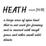 Heath  Lee - @heathlee9123 - Instagram