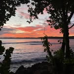 Heath Miller - @heathmiller3 - Instagram