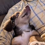 Heath Murray - @heath.murray.585 - Instagram