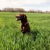 heathMurry33 - @heathmurry33 - TikTok