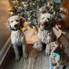heathernewcomb50 - @heather.newcomb95 - TikTok