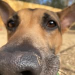 Heath Nicholson - @hcookn1970 - Instagram