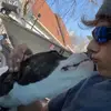 heathpetersonii - @heathpetersonii - TikTok