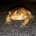 Heath Pickens - @hepick1234 - Instagram