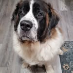 Heather Robey Poole - @heathpoole5 - Instagram