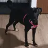 Heather Pope - @heather.pope49 - TikTok
