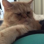 Heath Porter - @heath_and_friends - Instagram