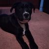 heathpotter441 - @heathpotter441 - TikTok