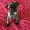 Lulu304 - @heatherpotts70 - TikTok