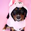 heather_prince - @heather_prince - TikTok