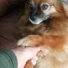 Randall Heath - @randall.heath2 - TikTok
