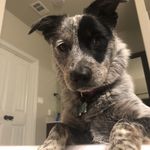 Heath Richardson - @heathrichardson70 - Instagram