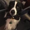 Heather Rollins - @heatherrollins63 - TikTok