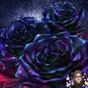 Heather Salas - @heather.salas54 - TikTok