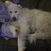 Heath Skinner - Facebook