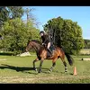 Hedda Söderström - @heddasoderstrom.h - TikTok