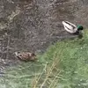 Heather Stein - @heather.stein8 - TikTok