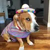 Foster mom - @heatherstevenson14 - TikTok