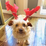 Heather Stevenson - @heatherlstevenson - Instagram
