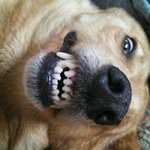 Heath West - @hrwest1317 - Instagram