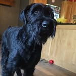 Heath Whitney - @heathwhitney77 - Instagram