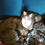 Heather Wilder - Facebook