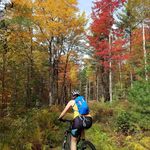 Heather Albrecht - @halbrecht55 - Instagram
