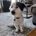 Heather Alexis - Facebook