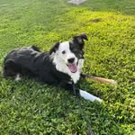 Heather Harper-Ammons - @hmarie151618 - Instagram