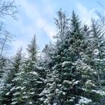 HeatherAnnisPhotography - @heatherannisphotography - Instagram