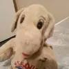 PUPPY LOVES HIS FANS - @heather_atchley13 - TikTok
