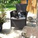 Heather Sault - Facebook