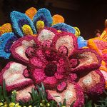 Heather Bacon - @baconcakes2 - Instagram