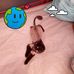 Heather Bacon - Facebook