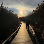 Heather Bales - @madronn - Instagram