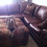 Heather Ballinger - @heatherballinger46037 - Instagram