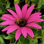 Heather Bartley - @bartley4324 - Instagram