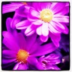 Heather Baxter - @creativestar16 - Instagram