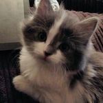 Heather Baxter - @heatherbaxter1018 - Instagram