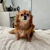 heather..baxter - @heather..baxter - TikTok
